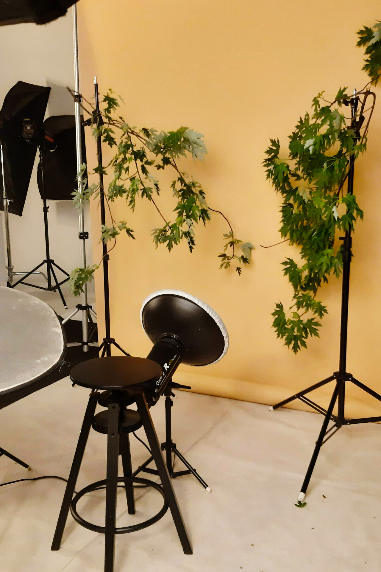 W studiu fotograficznym znajduje się czarna stołek barowy, a w tle widoczne są gałęzie z liśćmi oraz stojaki do lamp. Tło jest w kolorze jasnopomarańczowym