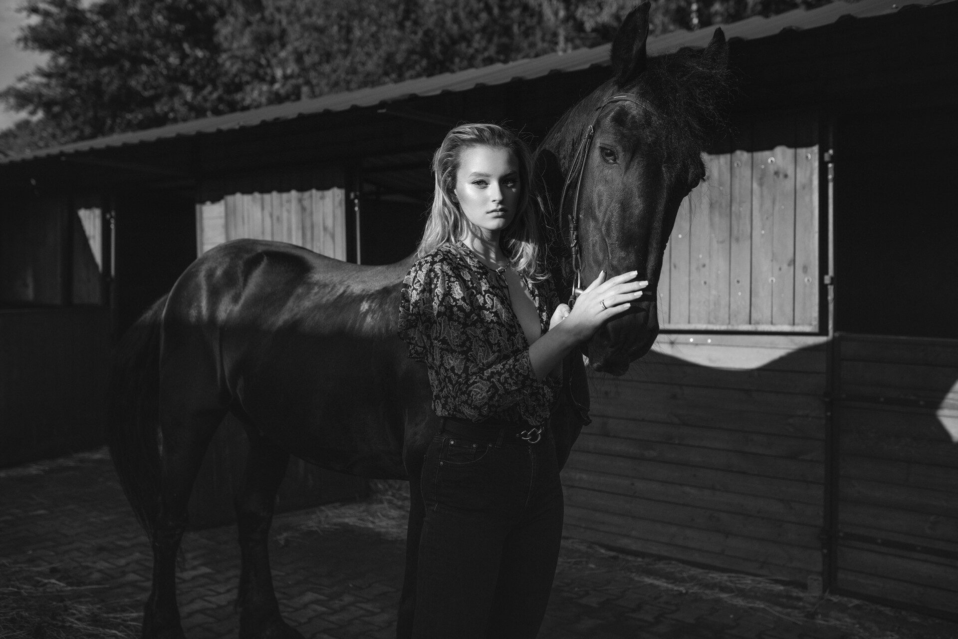 Młoda kobieta stoi obok dużego czarnego konia w stajni, delikatnie opierając rękę na jego szyi. Słońce wpada do stajni, tworząc kontrastowe światło i cienie