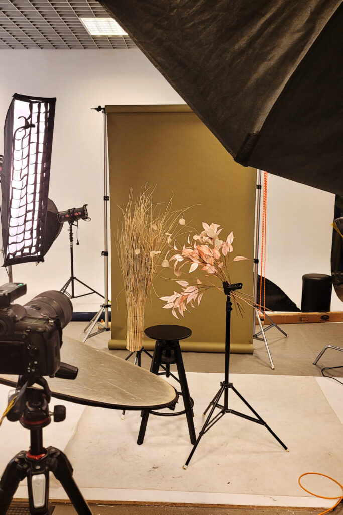 Studio fotograficzne z tłem w kolorze oliwkowym, na którym ustawiono gałązki roślin oraz czarny stołek. W tle widoczne oświetlenie i sprzęt fotograficzny